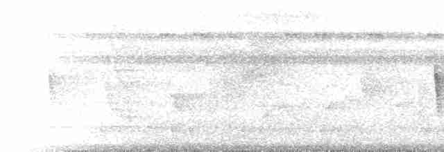 Gözlüklü Yerçavuşu (lizanoi) - ML214441
