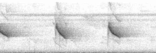 White-throated Shrike-Tanager - ML214448