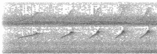 Streifenfaulvogel - ML214460871