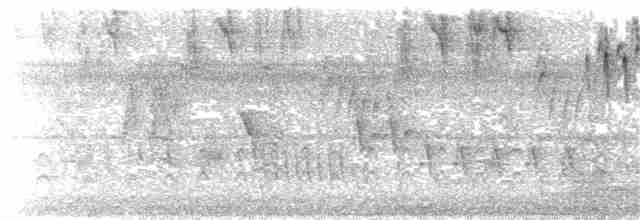 ミナミアサギアメリカムシクイ - ML214461331