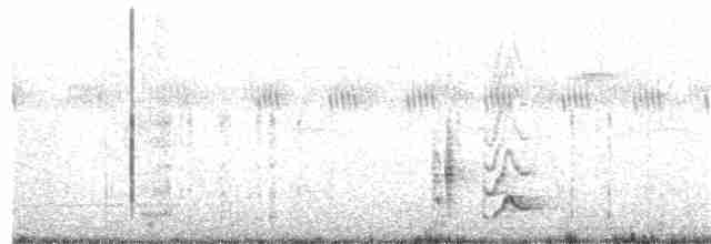Длинноклювый крапивник - ML214466781