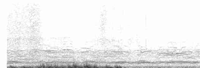 Cygne siffleur - ML214473331