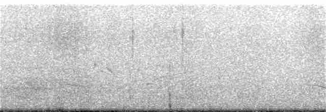 Chihuahuan Meadowlark - ML214517651