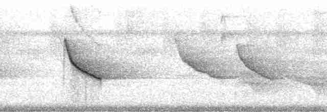 White-throated Shrike-Tanager - ML214527