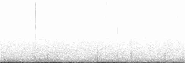 Magellanic Oystercatcher - ML214541791