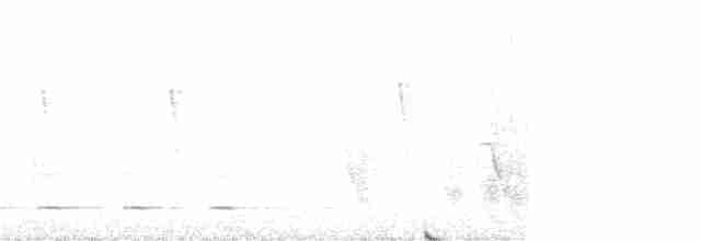 Сичик-горобець світлоголовий - ML214571771