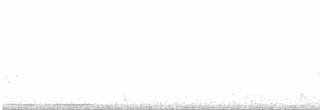 holub bledočelý - ML214575541