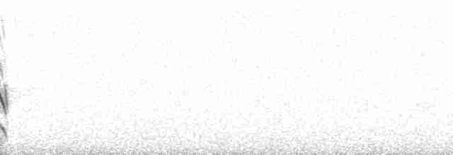 Сероголовый бентеви - ML214606
