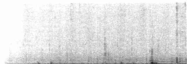 Klappergrasmücke (curruca/blythi/halimodendri) - ML214644921