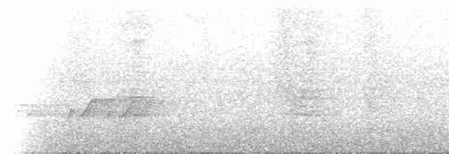 Araripe Manakin - ML214705
