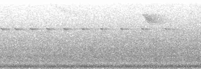 Araripe Manakin - ML214706