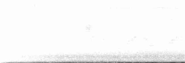Karolina Çıtkuşu - ML214721481