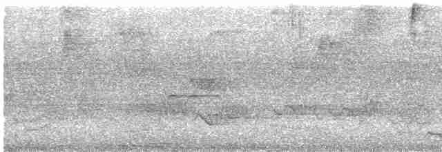 Mor Trogon - ML214735611