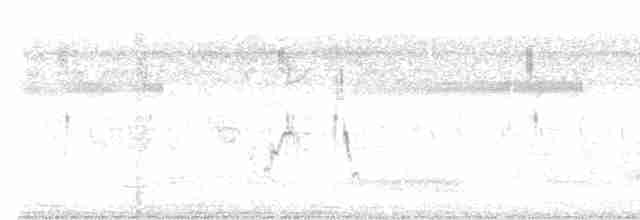 Щетинистая долгохвостка - ML214767451