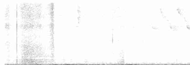 Connecticut Warbler - ML214815391