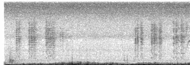 Woodchat Shrike - ML214835651