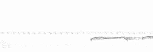 Höhennachtschwalbe (poliocephalus) - ML214878831