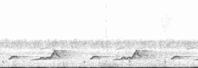 Schwarzkehl-Nachtschwalbe - ML214933
