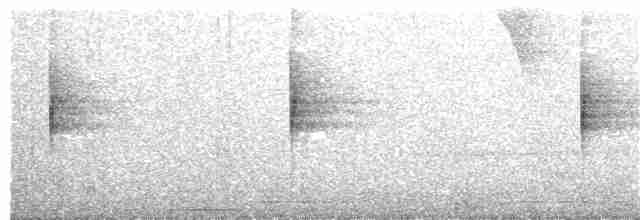 Трясогузковый певун - ML214987681