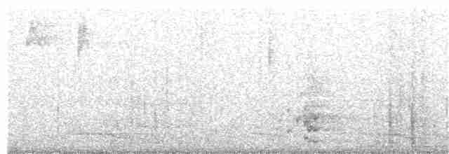 White-lored Warbler - ML214987721