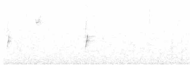 Тёмный мухолов - ML21501201