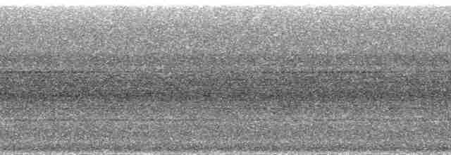 Trogón Canela - ML215014