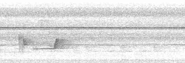 Grauschneidervogel - ML215042