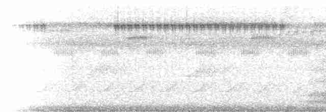 Очковый торорой (lizanoi) - ML215106