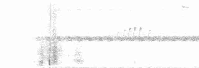 Серогрудый дромник - ML215108741