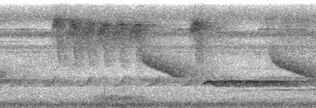 Gray-chested Dove (rufinucha) - ML215146