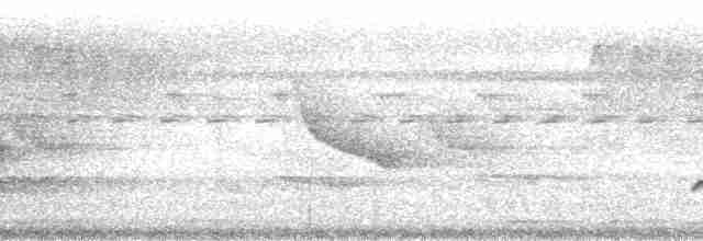 Viréon à calotte rousse (groupe ochraceiceps) - ML215147