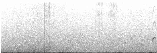 Blackish Oystercatcher - ML215177351