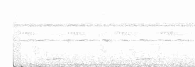 Motmot nain - ML215202411