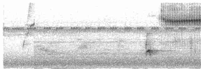Ошейниковый дятелок - ML215225381