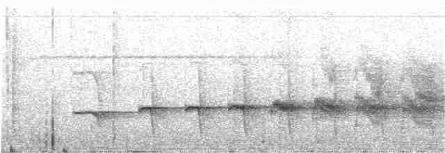 Мурав’янка-прудкокрил рондонійська - ML215227831