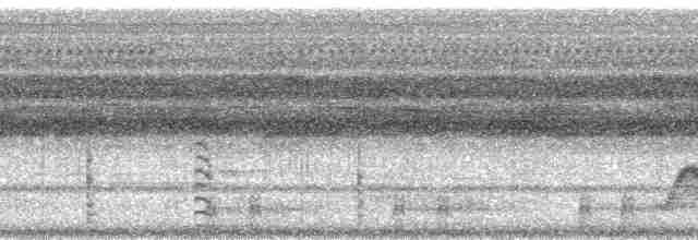dvergsvømmerikse - ML215229