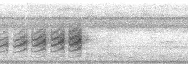 Viréon à calotte rousse (groupe ochraceiceps) - ML215268