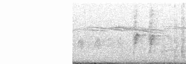 Омелюх східноазійський - ML215295731