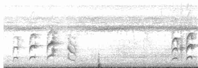 Rotbrust-Dickichtschlüpfer - ML21531571