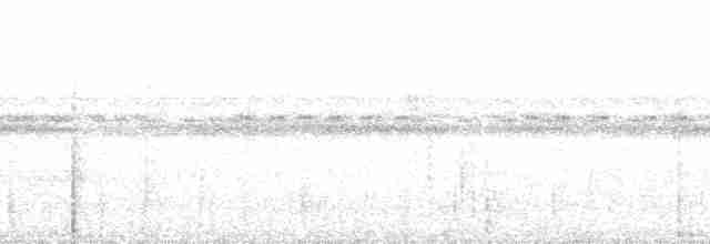 svartkronesmett (castaneus gr.) - ML215324