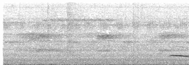 Trogon aurore - ML215346571