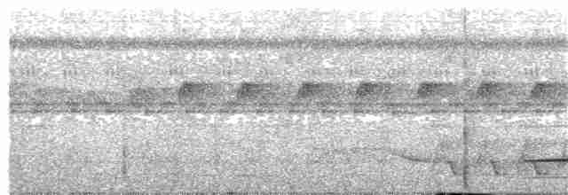 Düz Kanatlı Karıncaavcısı - ML215346611