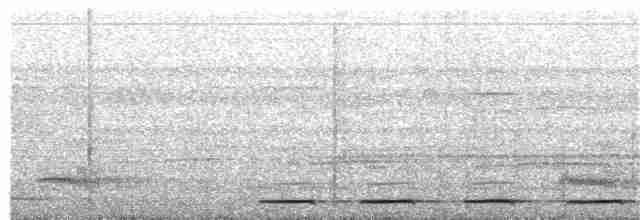 Парайский торорой - ML215346761