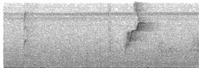 Белокрылая сорокопутовая танагра - ML215346941