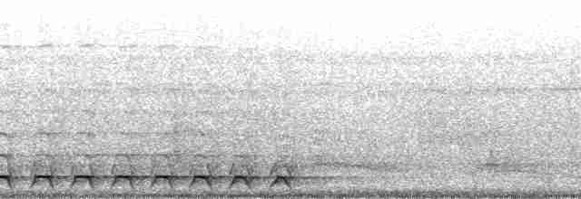 Lattice-tailed Trogon - ML215354