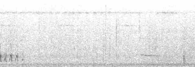 Beyaz Alınlı Keşişkuşu (grandior/fidelis) - ML215395