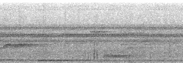 Koca Başlı Motmot [platyrhynchum grubu] - ML215407