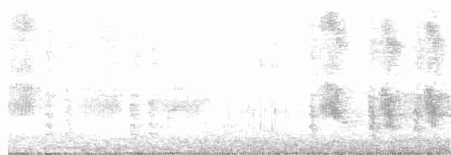 vlhovec člunoocasý (ssp. torreyi/alabamensis) - ML215408061