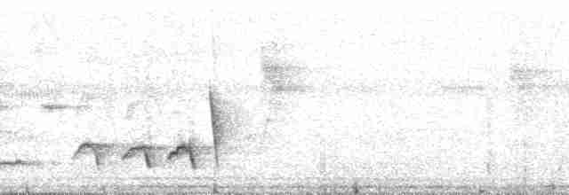 Поплітник коста-риканський - ML215466