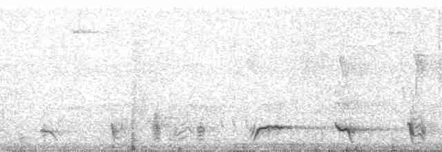 Troglodyte à nuque rousse (groupe capistratus) - ML215469